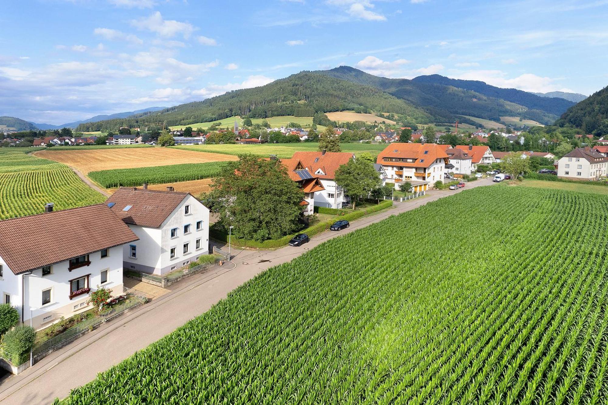 Ferienwohnung Emma Gutach im Breisgau Екстер'єр фото